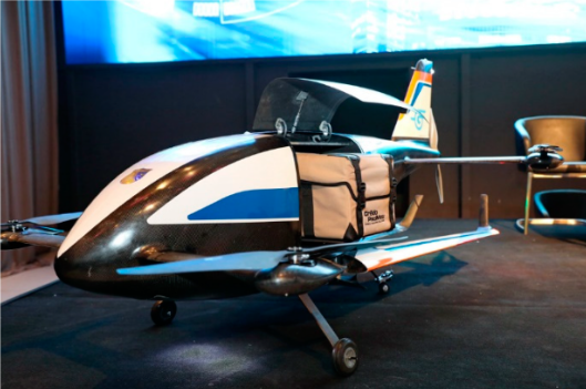 One-Time Delivery vs. Balancing Supply and Demand: The Drone Dilemma in Healthcare